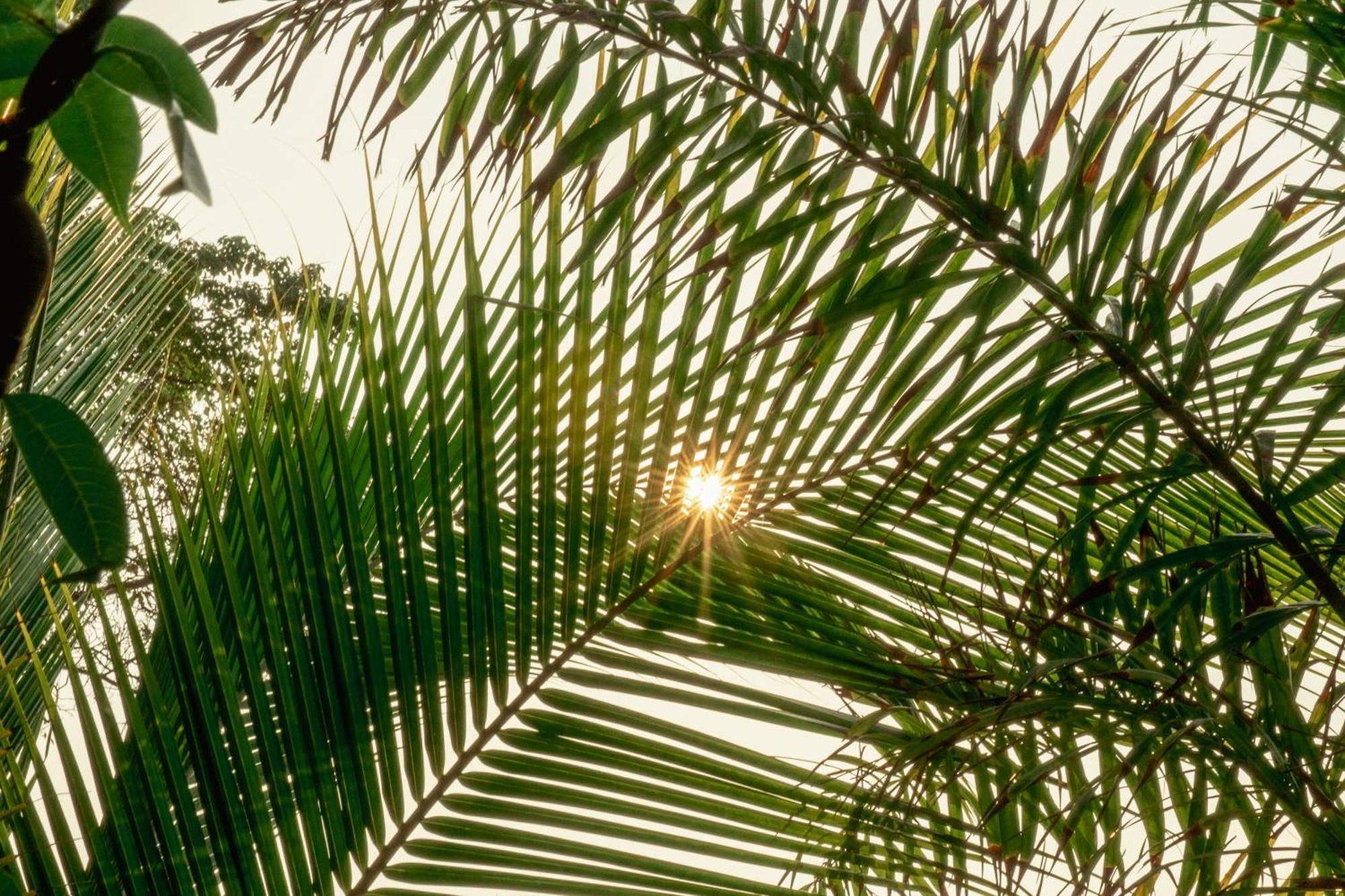 Naia - Miravalle Sonsonate Bagian luar foto