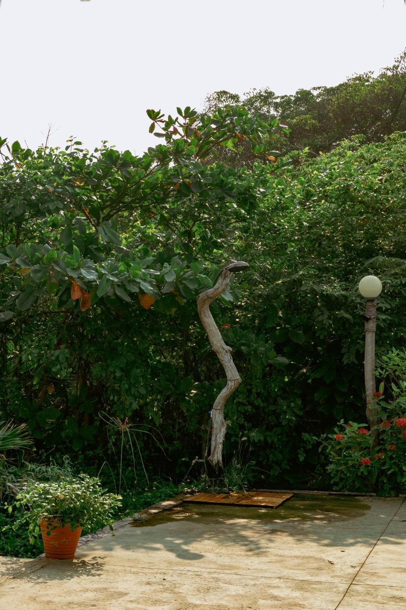 Naia - Miravalle Sonsonate Bagian luar foto